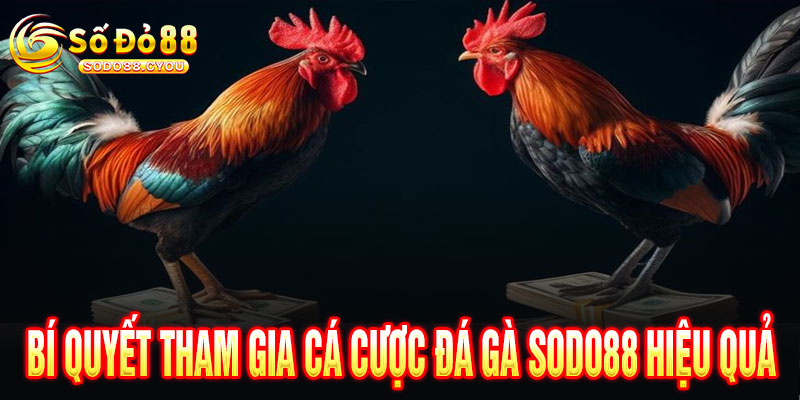Đá Gà Sodo88