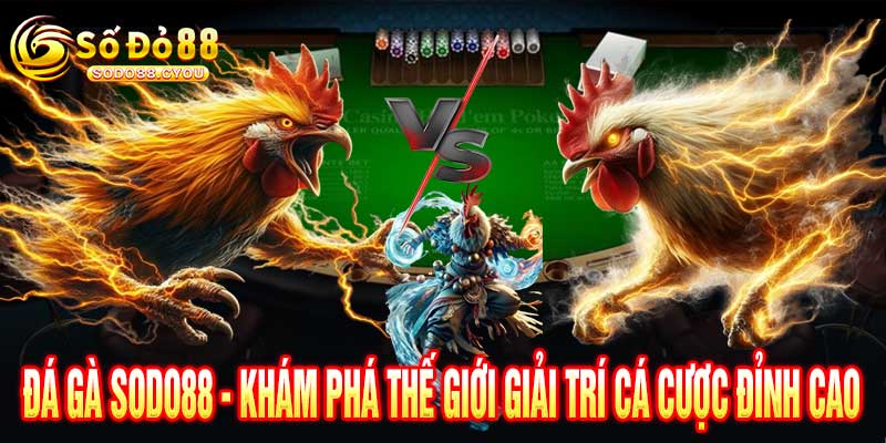 Đá Gà Sodo88