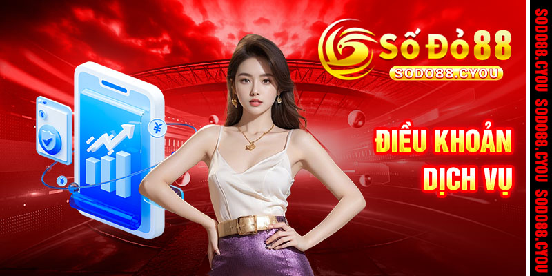 Điều Khoản Dịch Vụ