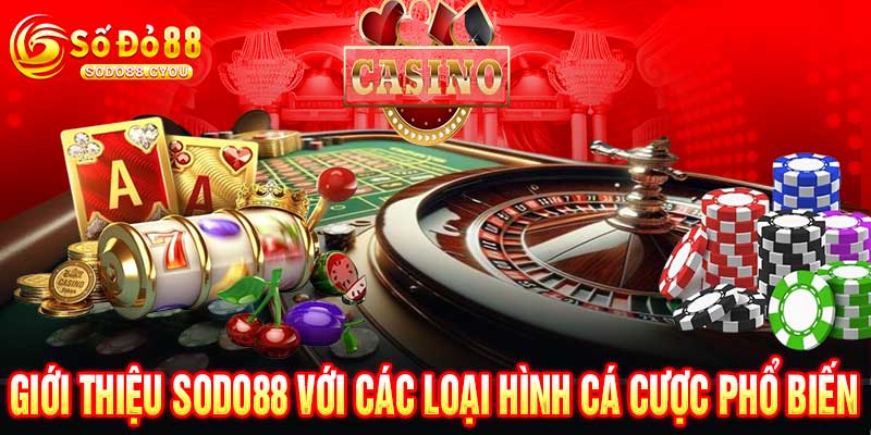 Giới Thiệu Sodo88