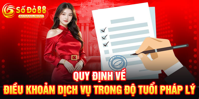 điều khoản dịch vụ